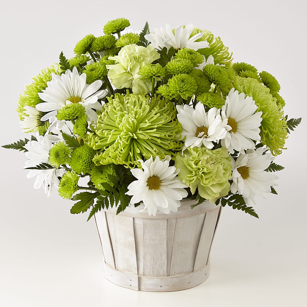 Lucky Charm Basket (Standard) – T BEARS FLORIST & GIFTS, Columbus OH