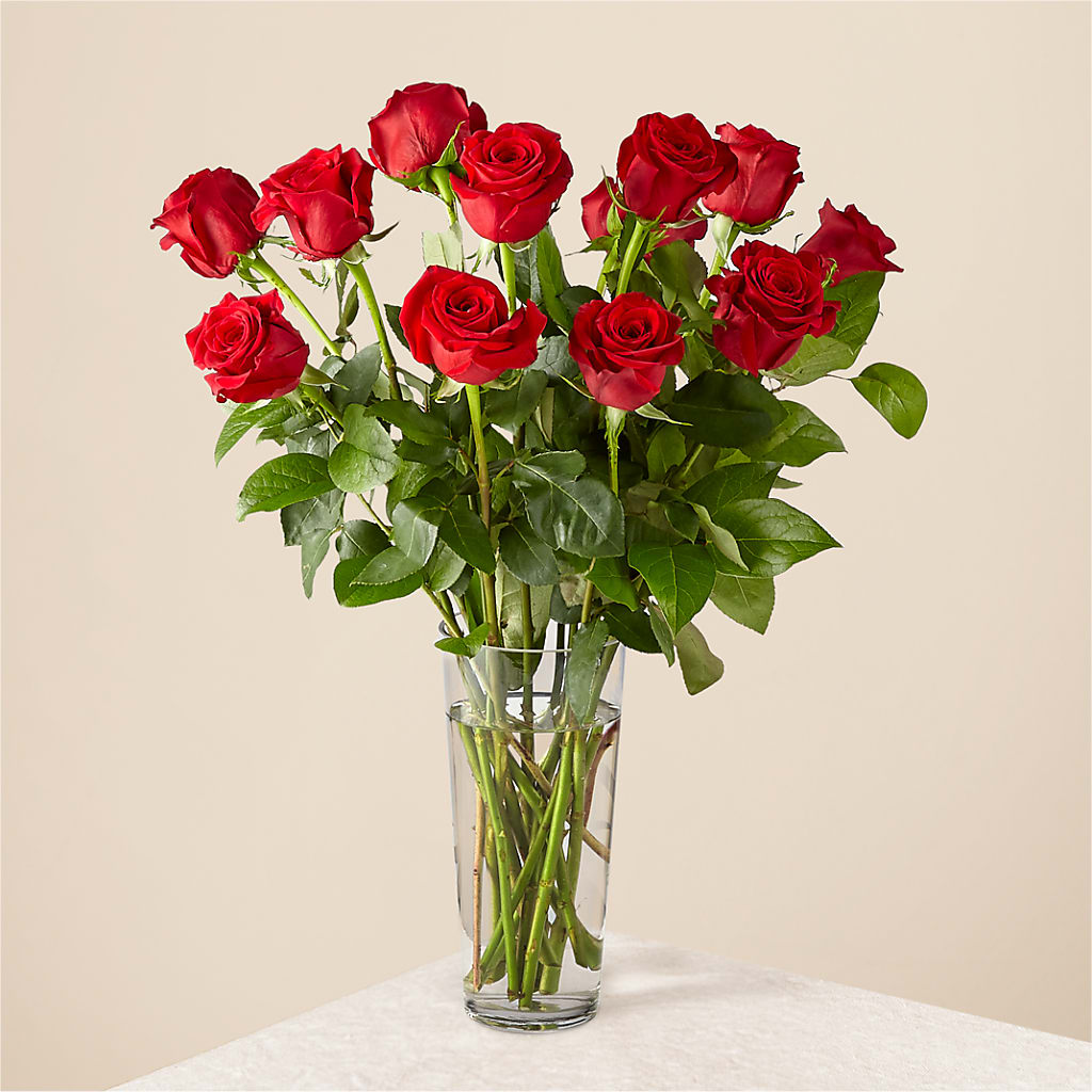 Long Stem Red Rose Bouquet – T BEARS FLORIST & GIFTS, Columbus OH