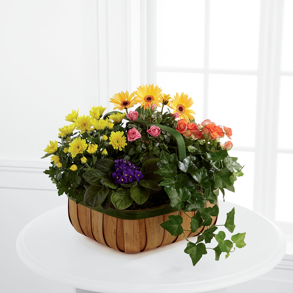 Gentle Blossoms Basket – T BEARS FLORIST & GIFTS, Columbus OH