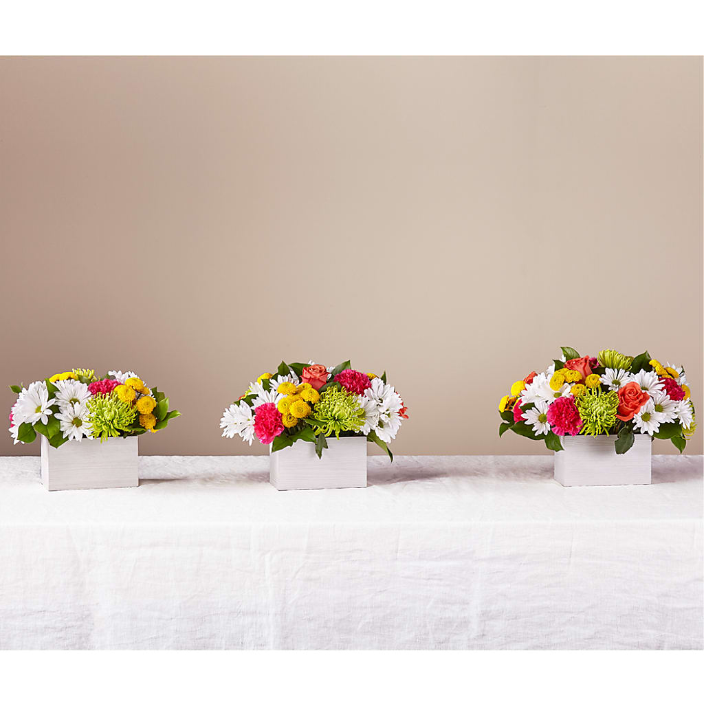 Sorbet Bouquet – T BEARS FLORIST & GIFTS, Columbus OH