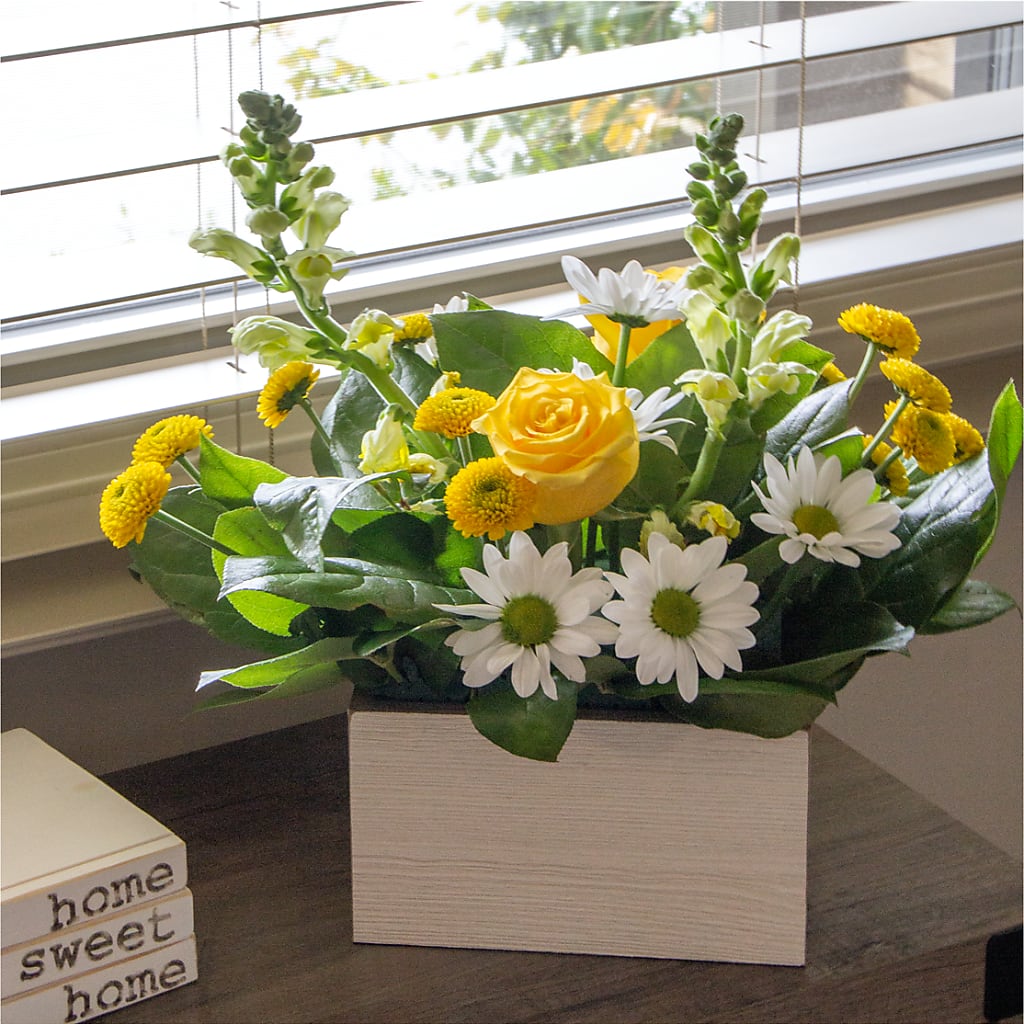 Sun Salutation Box Bouquet – T BEARS FLORIST & GIFTS, Columbus OH