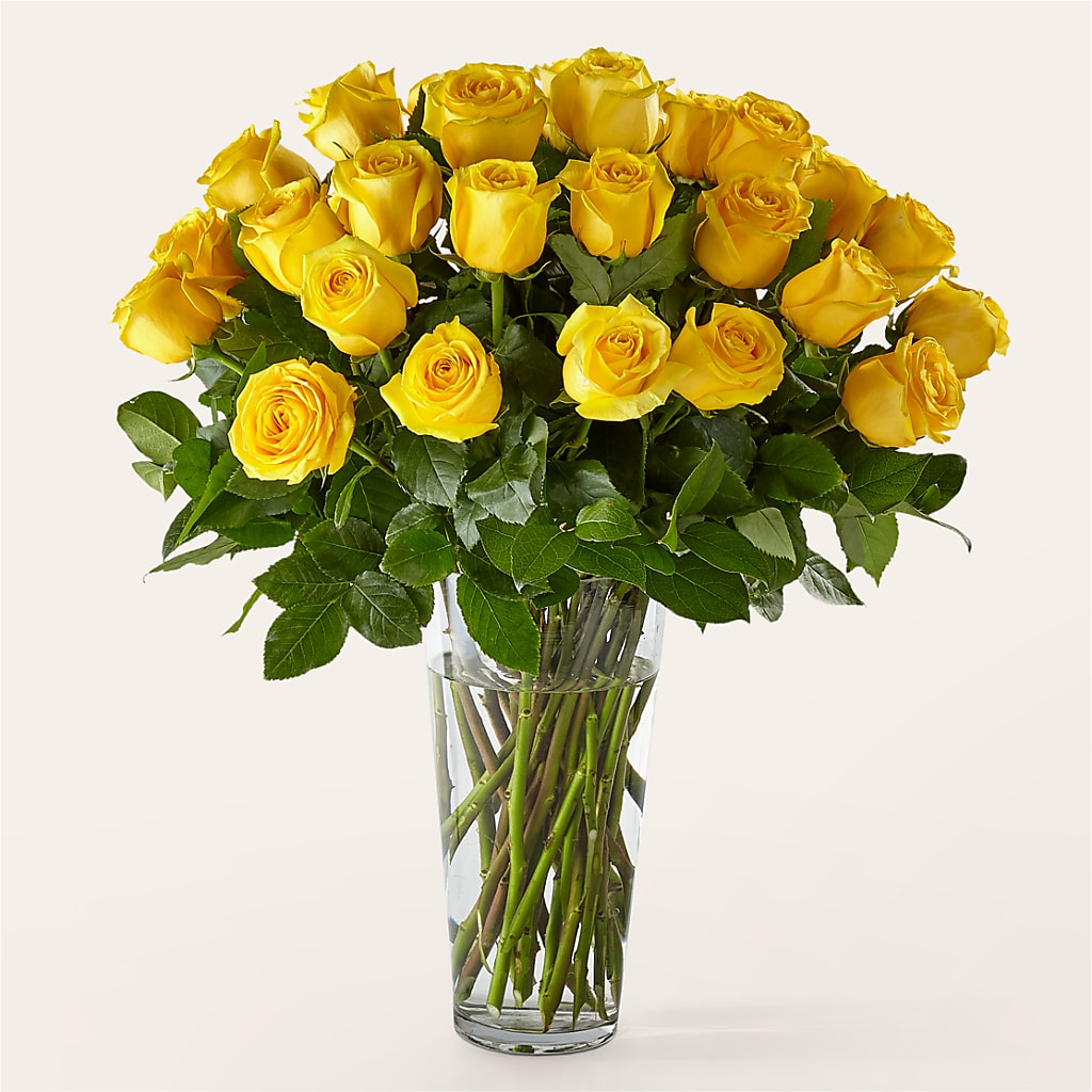 Long Stem Yellow Rose Bouquet – T BEARS FLORIST & GIFTS, Columbus OH
