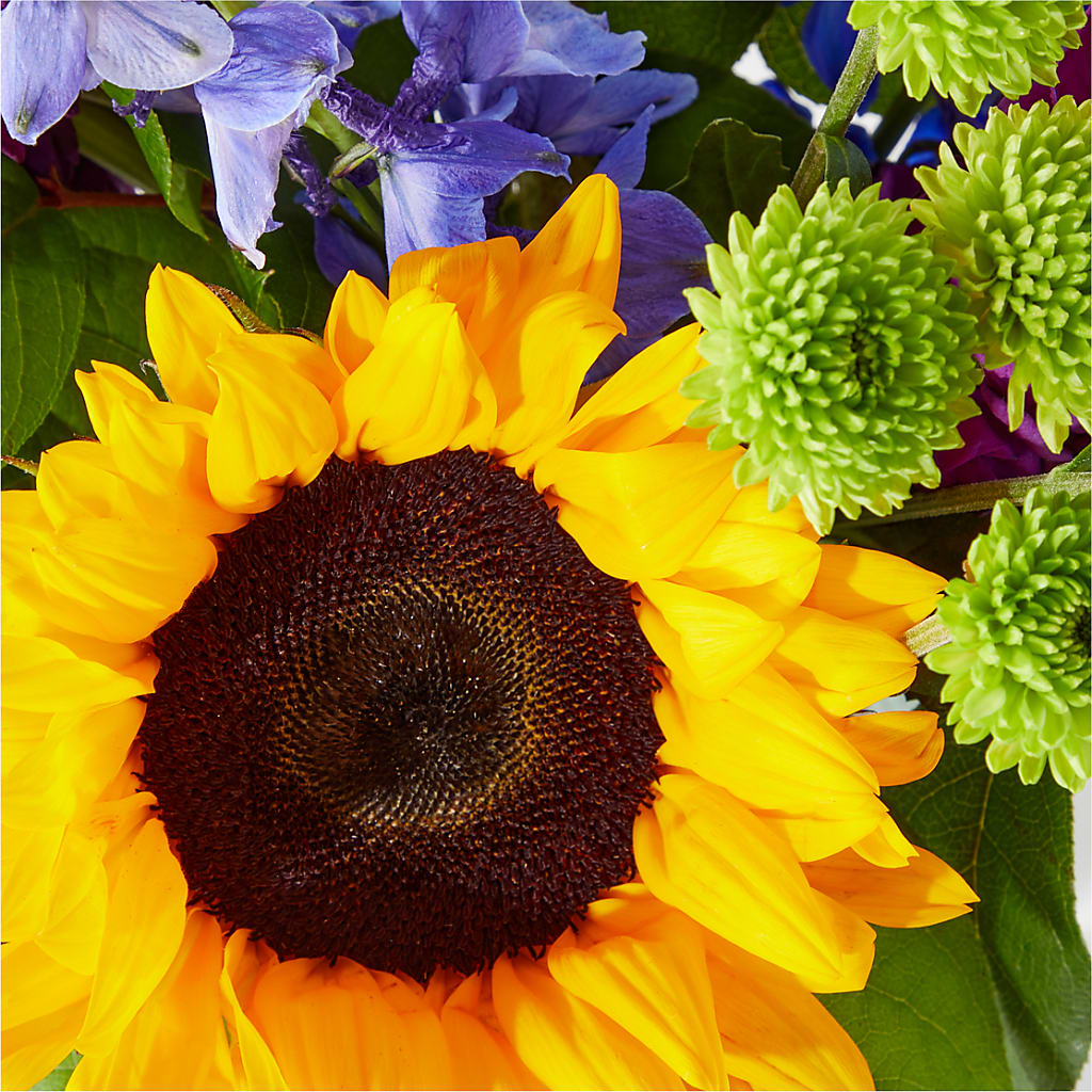 Catching Rays Bouquet – T BEARS FLORIST & GIFTS, Columbus OH