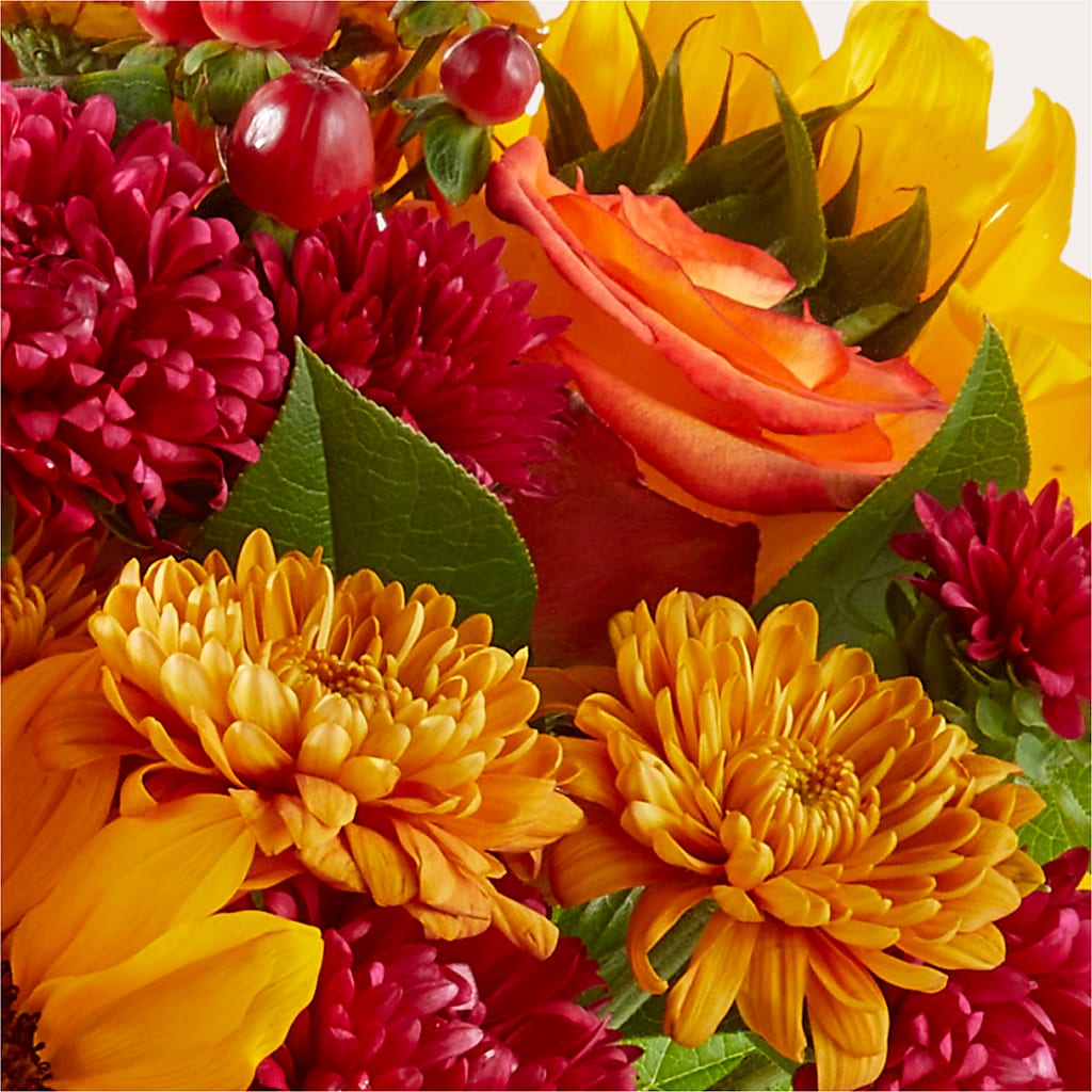 Sweater Season - A Florist Original – T BEARS FLORIST & GIFTS, Columbus OH