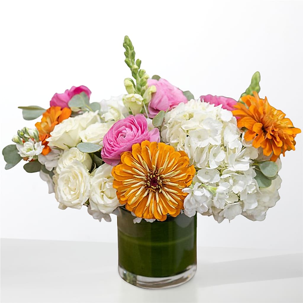 The Meet Cute – T BEARS FLORIST & GIFTS, Columbus OH