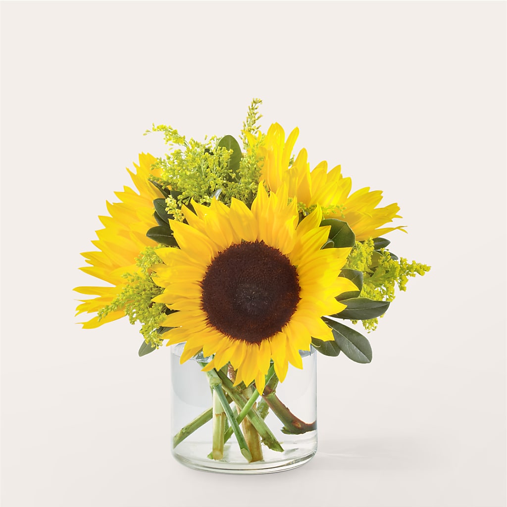 Beaming Sunflower Bouquet – T BEARS FLORIST & GIFTS, Columbus OH