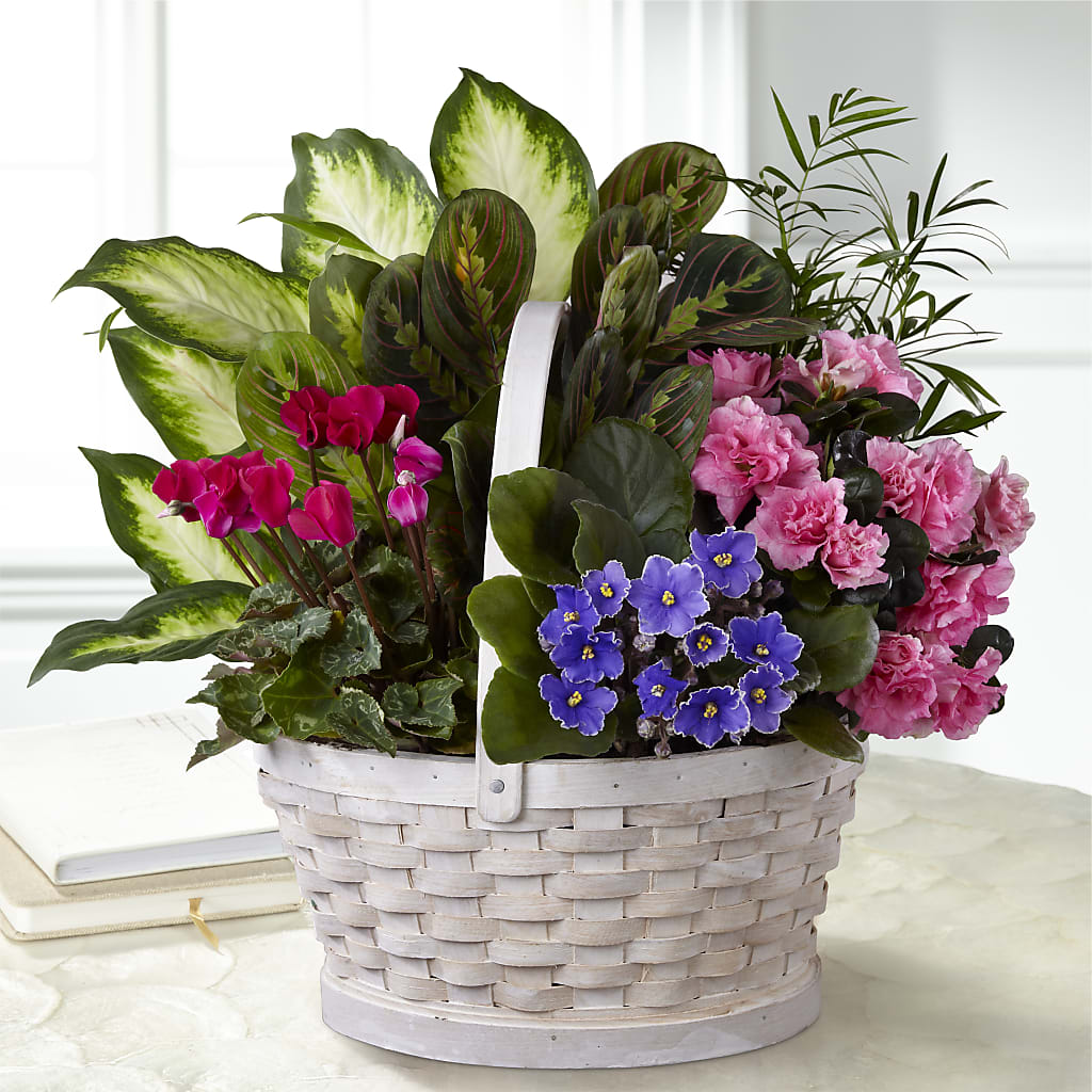 Peaceful Garden Planter – T BEARS FLORIST & GIFTS, Columbus OH