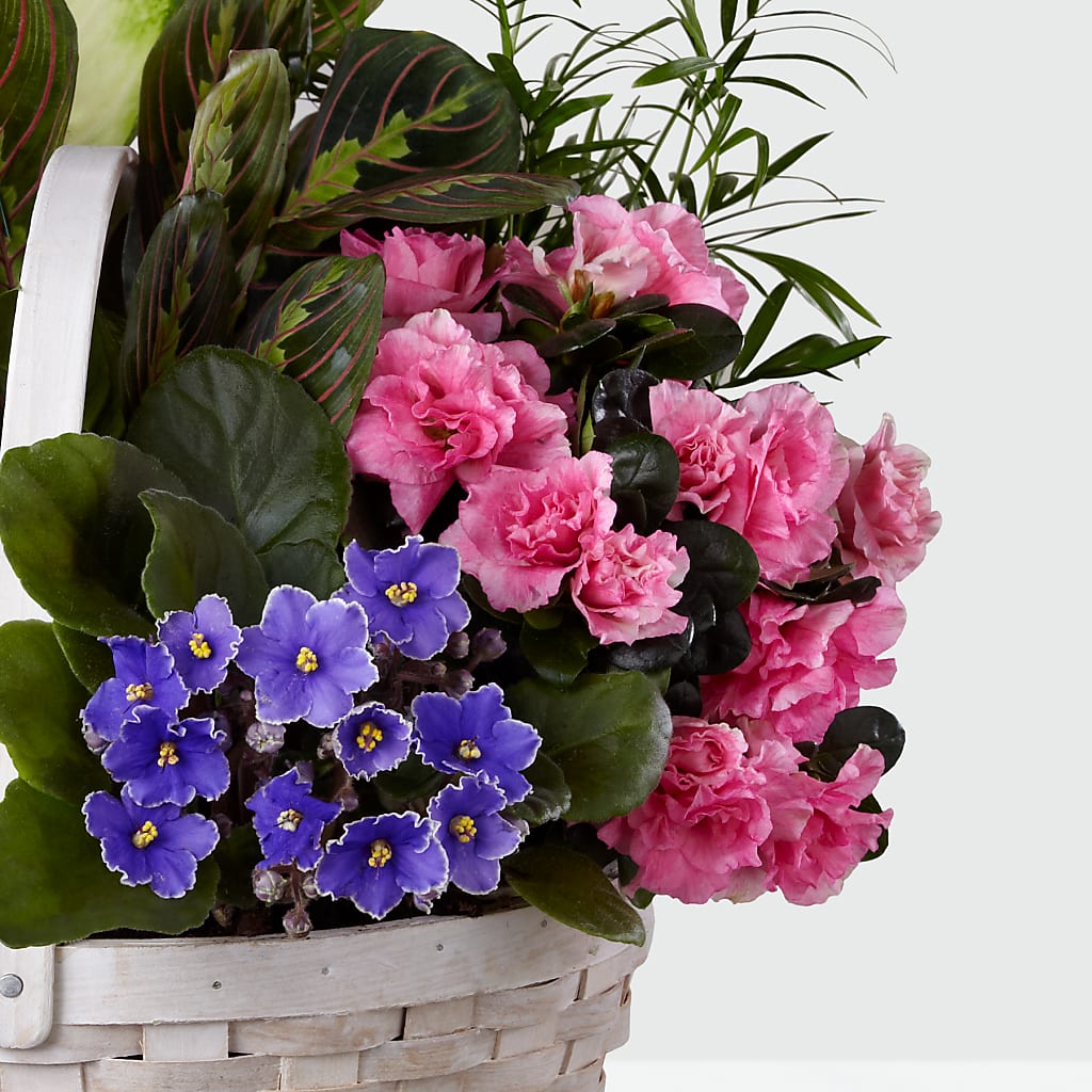 Peaceful Garden Planter – T BEARS FLORIST & GIFTS, Columbus OH