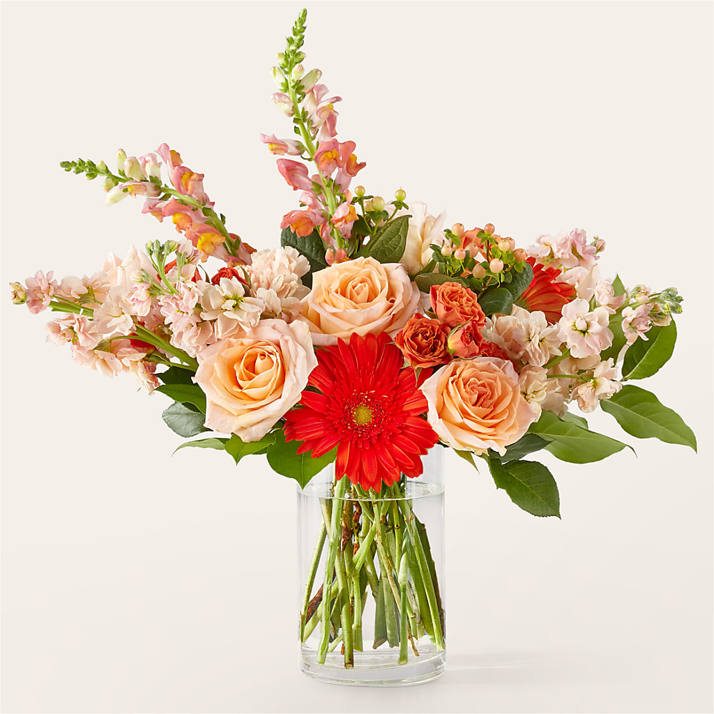 Paloma Please Bouquet – T BEARS FLORIST & GIFTS, Columbus OH