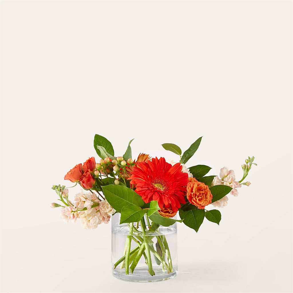 Paloma Please Bouquet – T BEARS FLORIST & GIFTS, Columbus OH