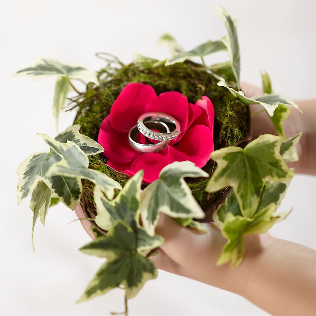 Lila Rose Ring Nest – T BEARS FLORIST & GIFTS, Columbus OH