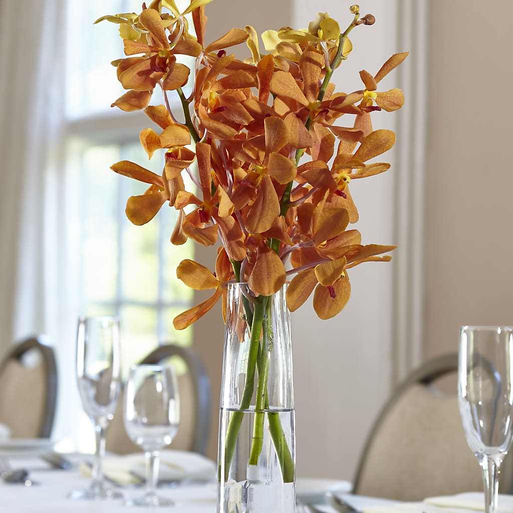 Orange Mokara Bud Vase – T BEARS FLORIST & GIFTS, Columbus OH