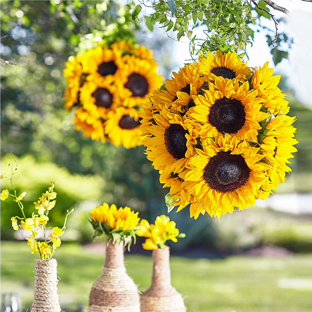 Sublime Garden Hanging Arrangement – T BEARS FLORIST & GIFTS, Columbus OH