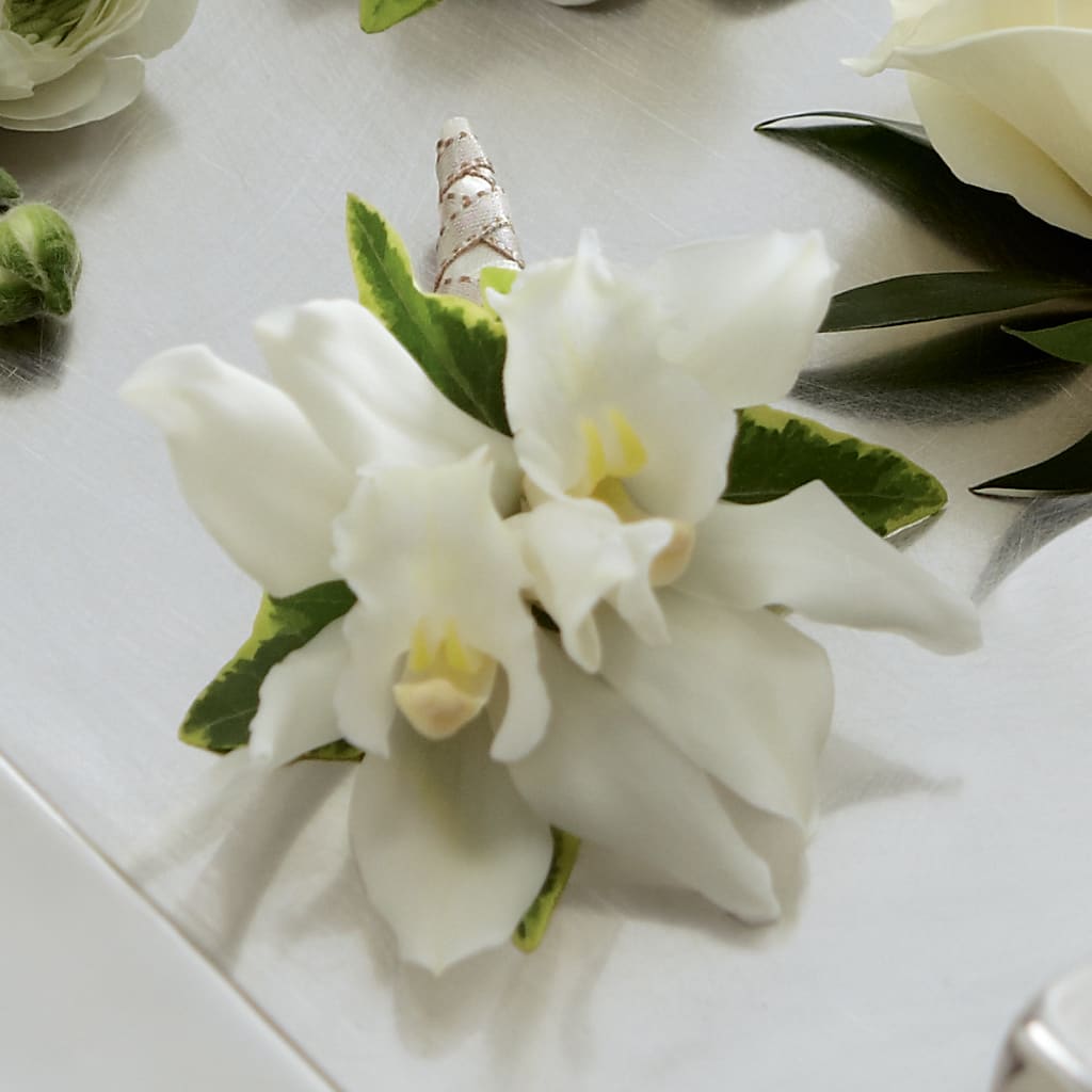 White Mini Cymbidium Boutonniere – T BEARS FLORIST & GIFTS, Columbus OH