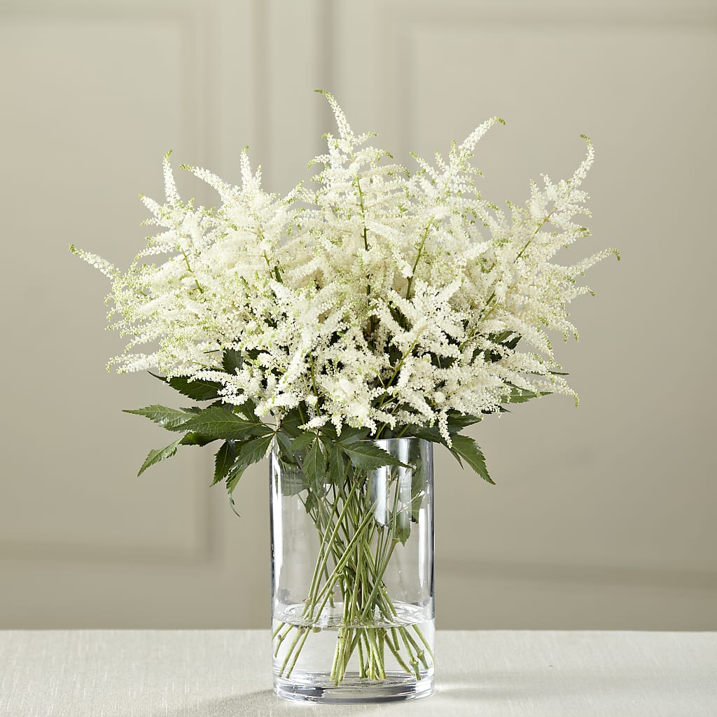 White Astilbe Bouquet – T BEARS FLORIST & GIFTS, Columbus OH