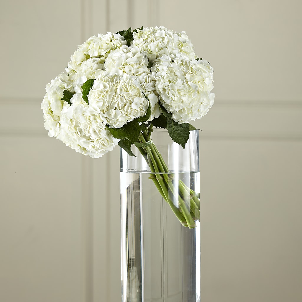 White Hydrangea Hand-Tied Bouquet – T BEARS FLORIST & GIFTS, Columbus OH