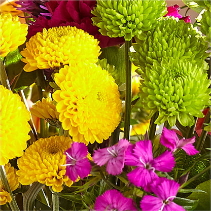 Bold & Bright – A Florist Original – T BEARS FLORIST & GIFTS, Columbus OH