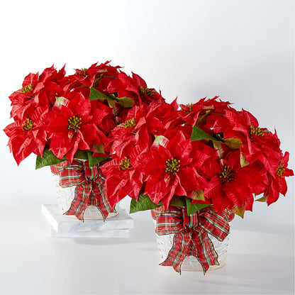 Happiest Holidays Poinsettia Bundle – T BEARS FLORIST & GIFTS, Columbus OH