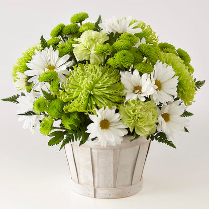 Lucky Charm Basket (Standard) – T BEARS FLORIST & GIFTS, Columbus OH