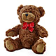 Adorable Plush Bear – T BEARS FLORIST & GIFTS, Columbus OH