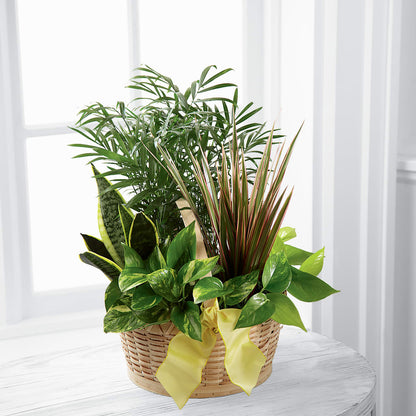 French Garden – T BEARS FLORIST & GIFTS, Columbus OH