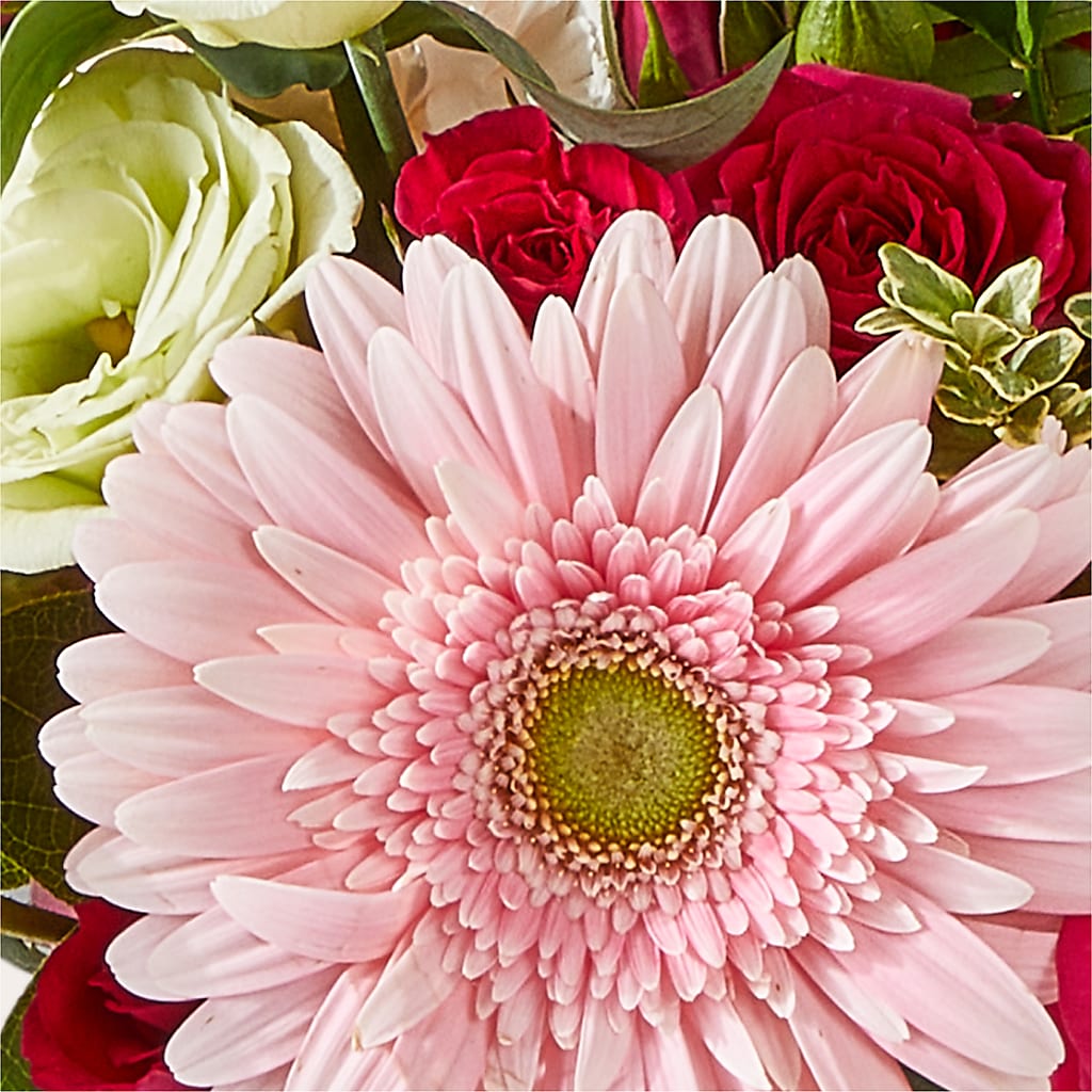 Too Cute Bouquet – T BEARS FLORIST & GIFTS, Columbus OH