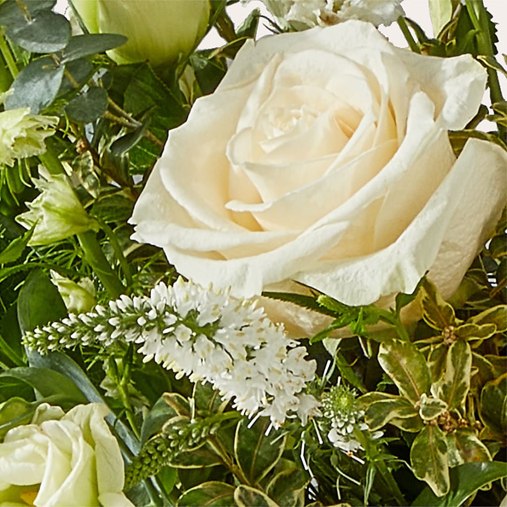 Cashmere Bouquet – T BEARS FLORIST & GIFTS, Columbus OH