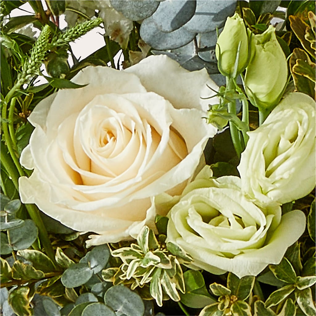 Cashmere Bouquet – T BEARS FLORIST & GIFTS, Columbus OH