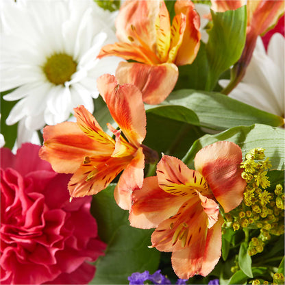 Oopsie Daisy Box Bouquet – T BEARS FLORIST & GIFTS, Columbus OH