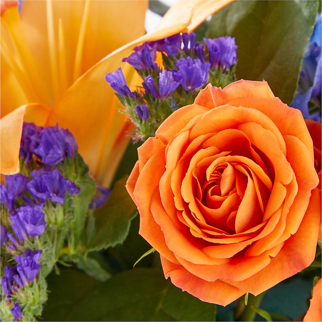 Radiant Citrus Box Bouquet – T BEARS FLORIST & GIFTS, Columbus OH