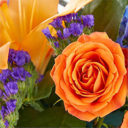 Radiant Citrus Box Bouquet – T BEARS FLORIST & GIFTS, Columbus OH