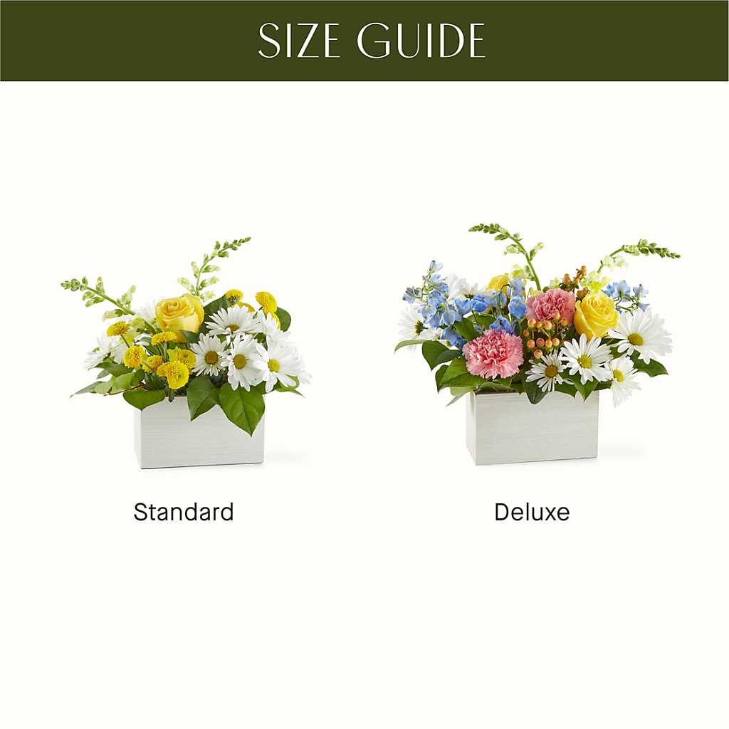 Sun Salutation Box Bouquet – T BEARS FLORIST & GIFTS, Columbus OH