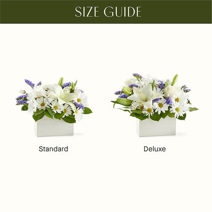 Beyond Blue Box Bouquet – T BEARS FLORIST & GIFTS, Columbus OH