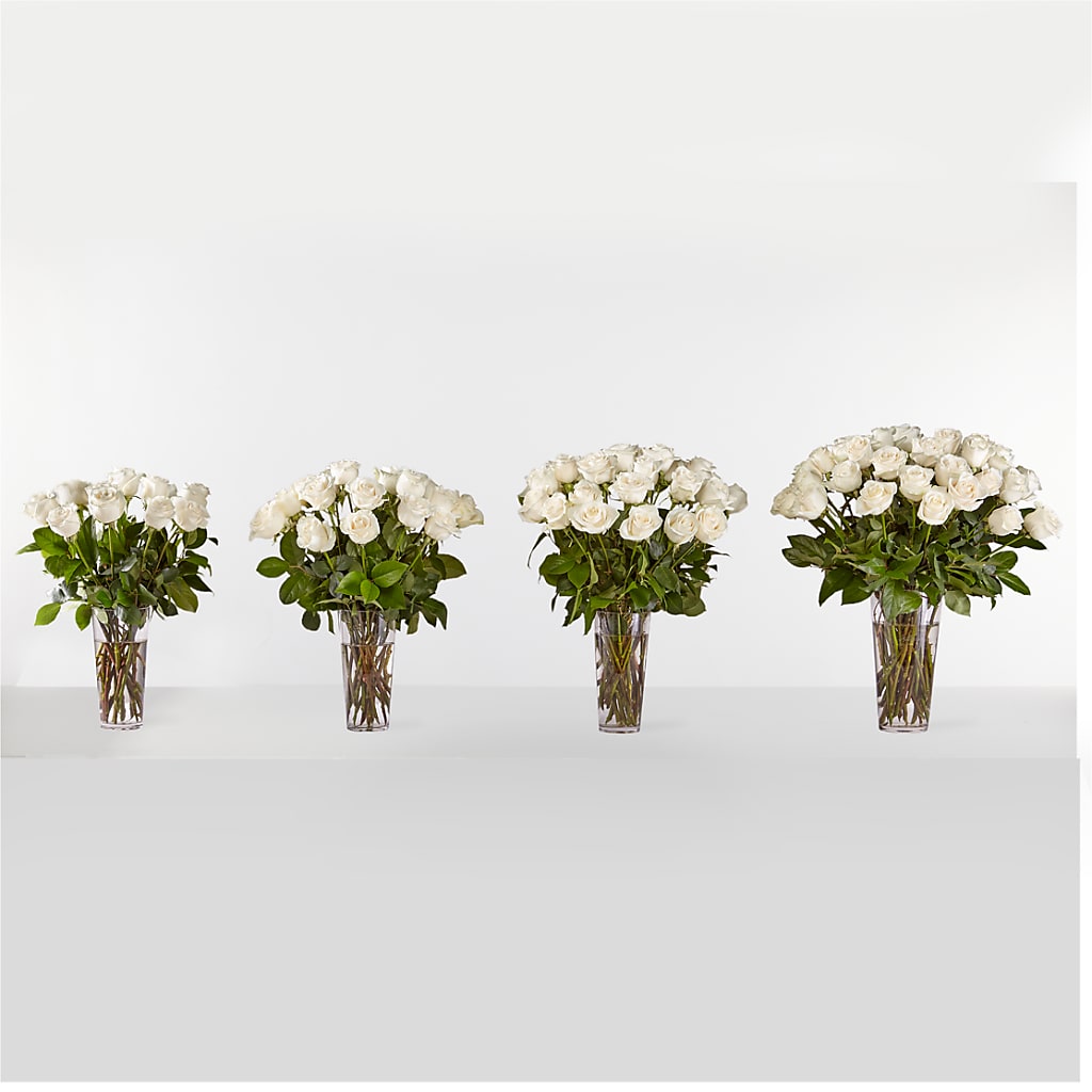Long Stem White Rose Bouquet – T BEARS FLORIST & GIFTS, Columbus OH