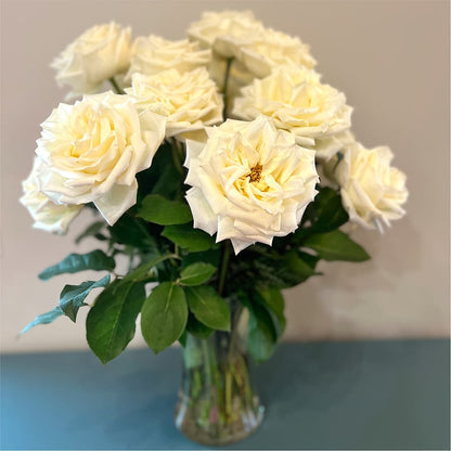 Long Stem Yellow Rose Bouquet – T BEARS FLORIST & GIFTS, Columbus OH