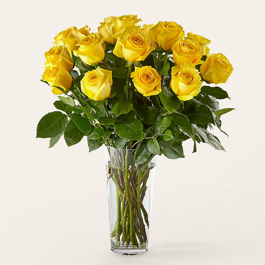 Long Stem Yellow Rose Bouquet – T BEARS FLORIST & GIFTS, Columbus OH