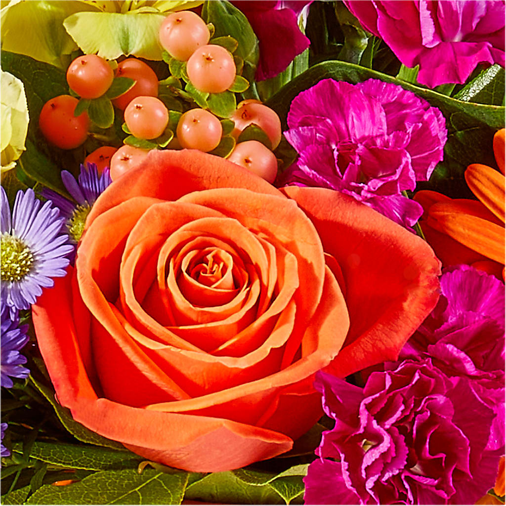 Tricks & Treats Pumpkin – T BEARS FLORIST & GIFTS, Columbus OH