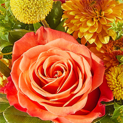 Gourdgeous Pumpkin – T BEARS FLORIST & GIFTS, Columbus OH