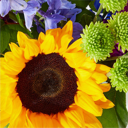Catching Rays Bouquet – T BEARS FLORIST & GIFTS, Columbus OH