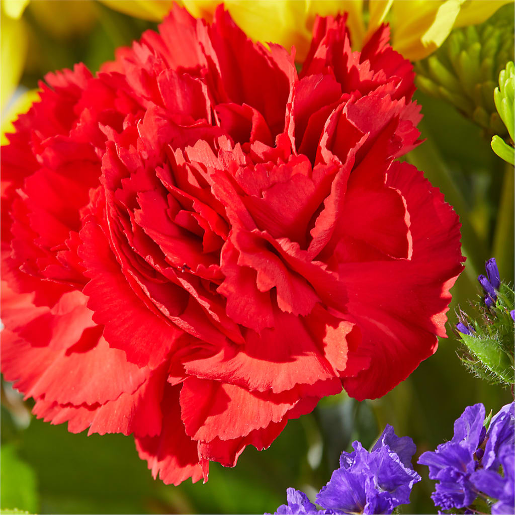 Brighter Days Bouquet – T BEARS FLORIST & GIFTS, Columbus OH