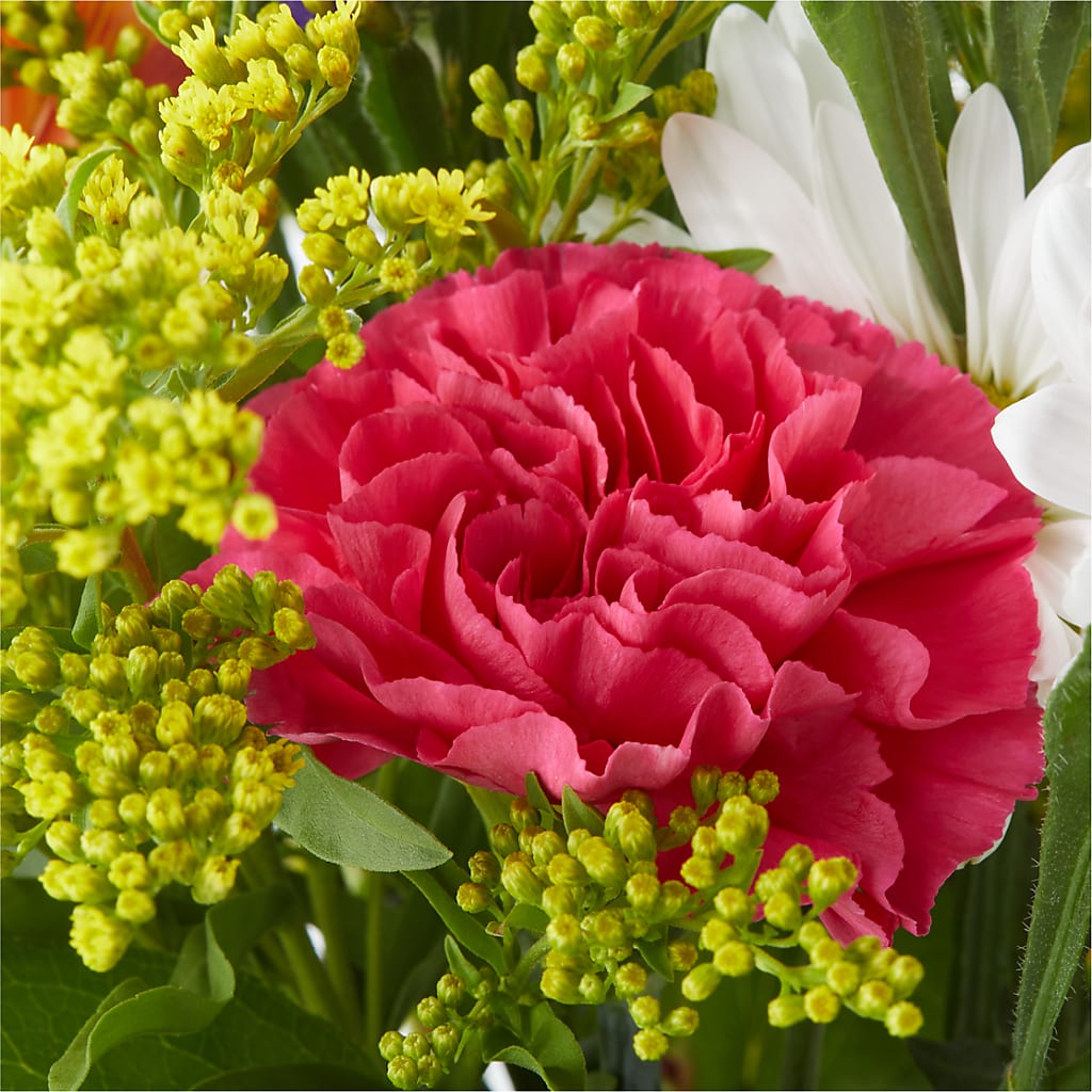 Oopsie Daisy Bouquet – T BEARS FLORIST & GIFTS, Columbus OH