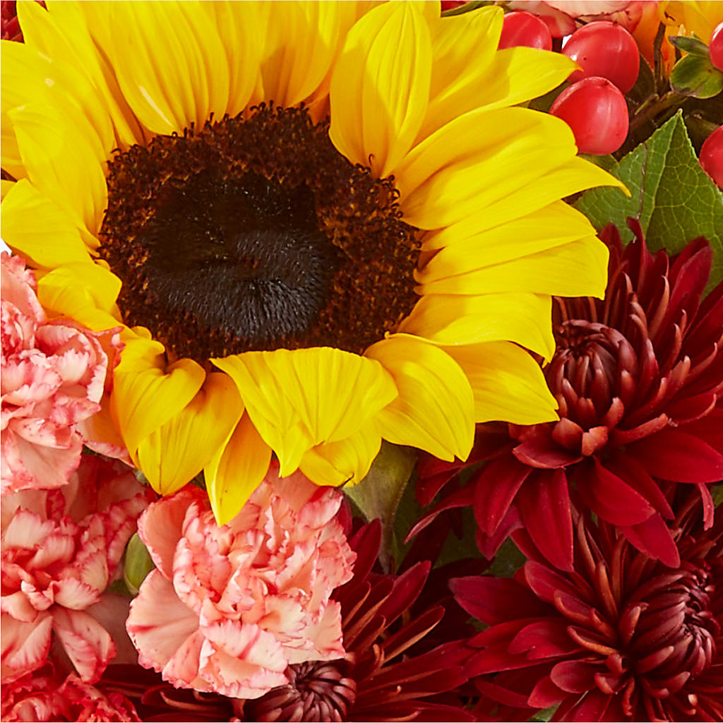 Fresh Cider Bouquet – T BEARS FLORIST & GIFTS, Columbus OH