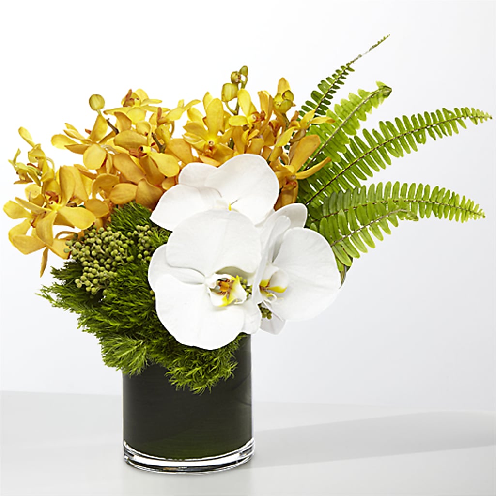 The Tropics – T BEARS FLORIST & GIFTS, Columbus OH