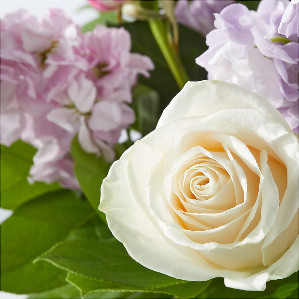 Springtime Spritz Bouquet – T BEARS FLORIST & GIFTS, Columbus OH