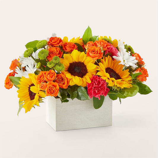 Sun-drenched Blooms Box Bouquet – T BEARS FLORIST & GIFTS, Columbus OH