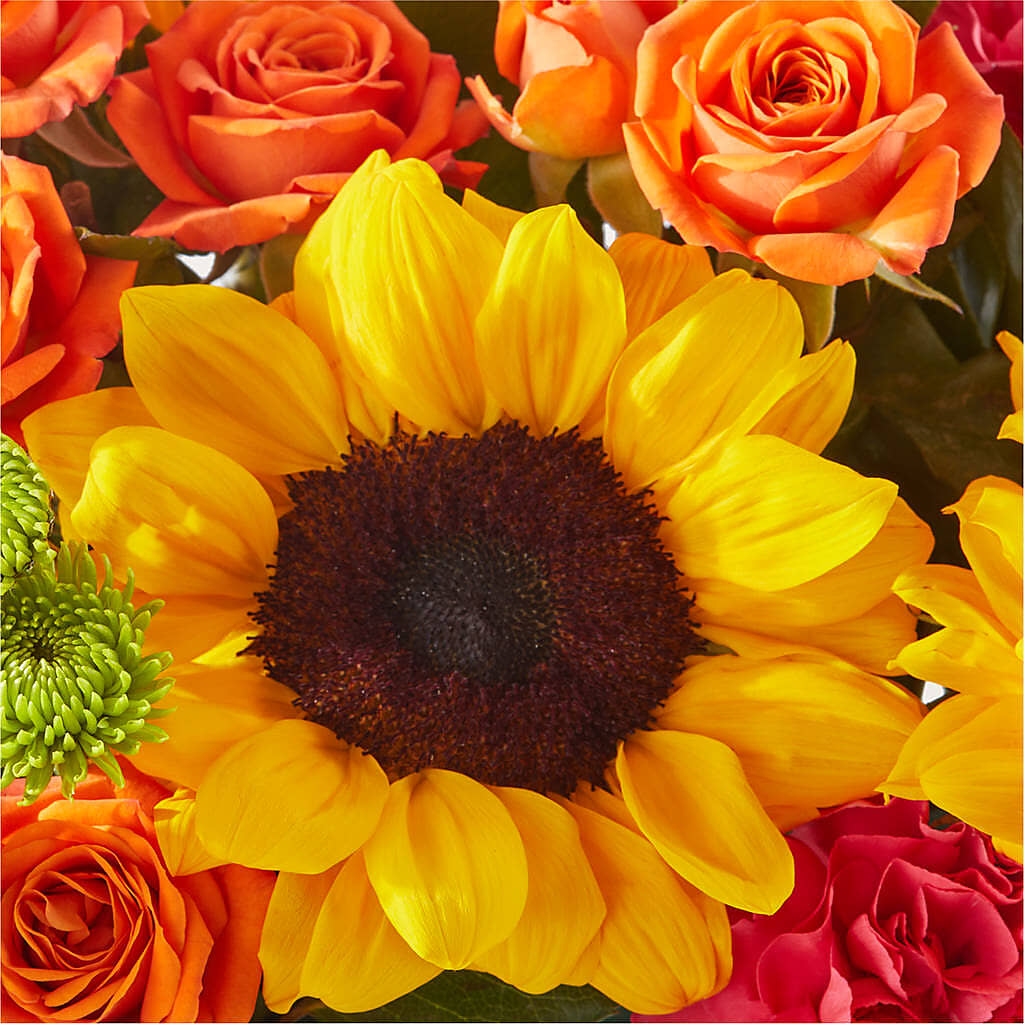 Sun-drenched Blooms Box Bouquet – T BEARS FLORIST & GIFTS, Columbus OH