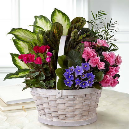 Peaceful Garden Planter – T BEARS FLORIST & GIFTS, Columbus OH
