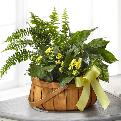 Always Dear Dishgarden – T BEARS FLORIST & GIFTS, Columbus OH