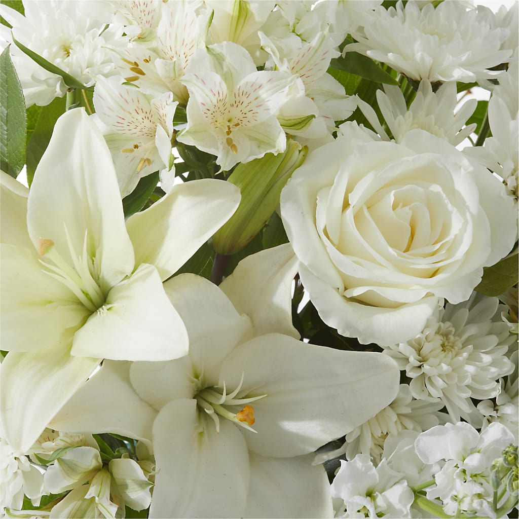 Peaceful Reflections Arrangement – T BEARS FLORIST & GIFTS, Columbus OH