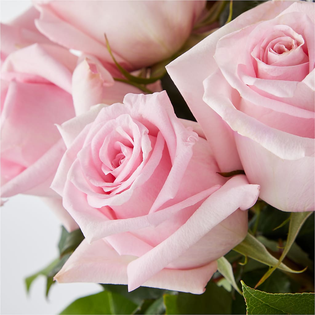 Picture Perfect Pink Rose Bouquet – T BEARS FLORIST & GIFTS, Columbus OH
